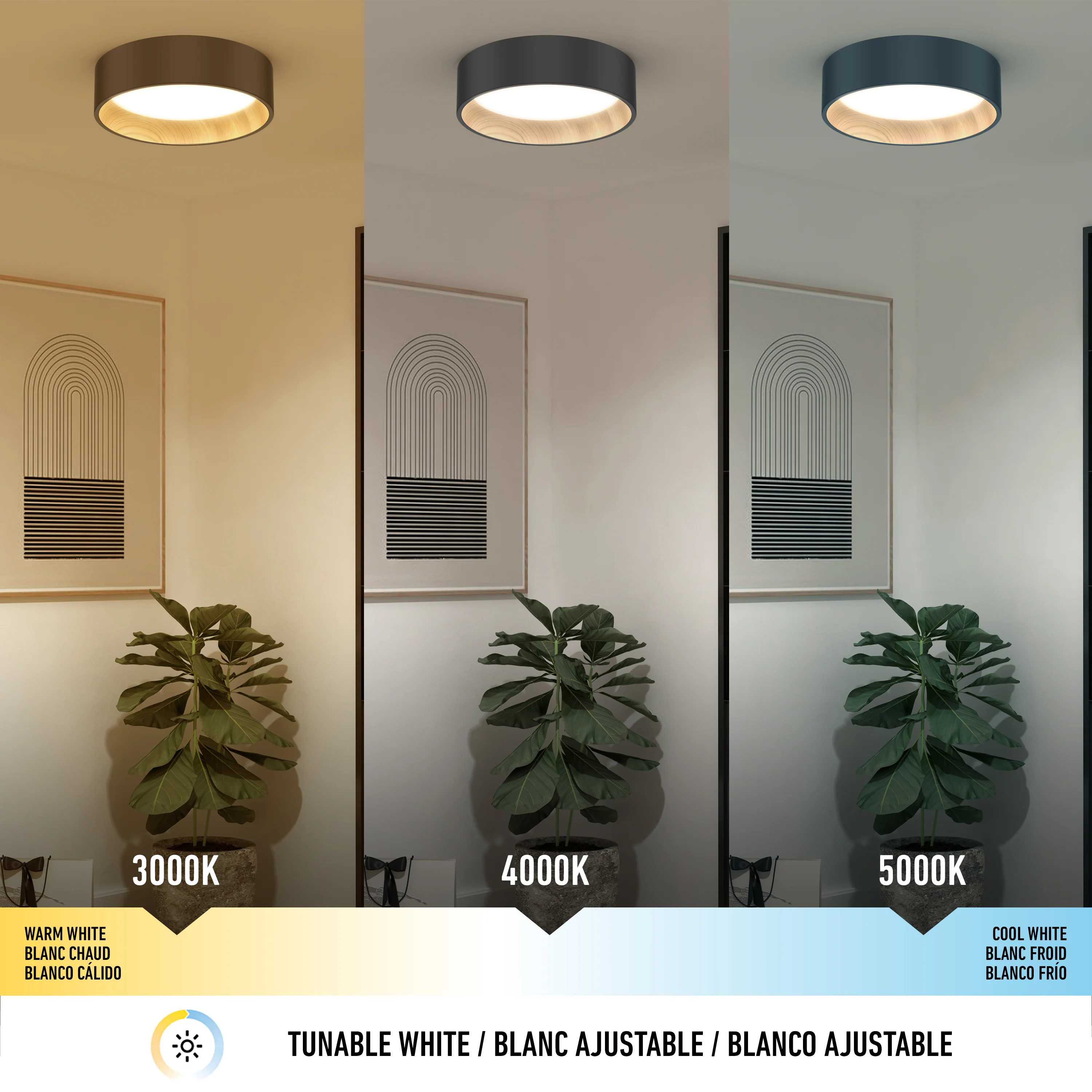 Thumbnail 15